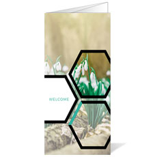 Welcome Hexagon Spring 