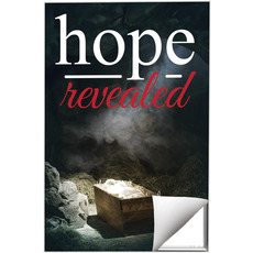 Hope Revealed Manger 